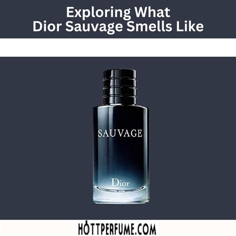 dior savage dupe|what smells like dior sauvage.